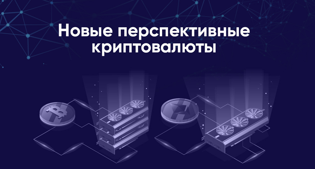 Взято из открытых источников