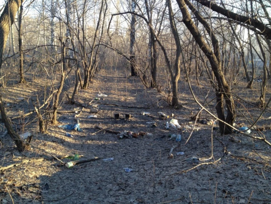 Казалось, что с землей уже ничего нельзя сделать. Источник фото: ngs.ru