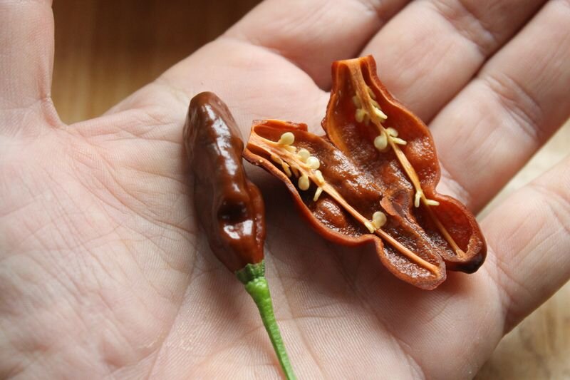 Star 1818 полюблен мной за невероятный аромат!