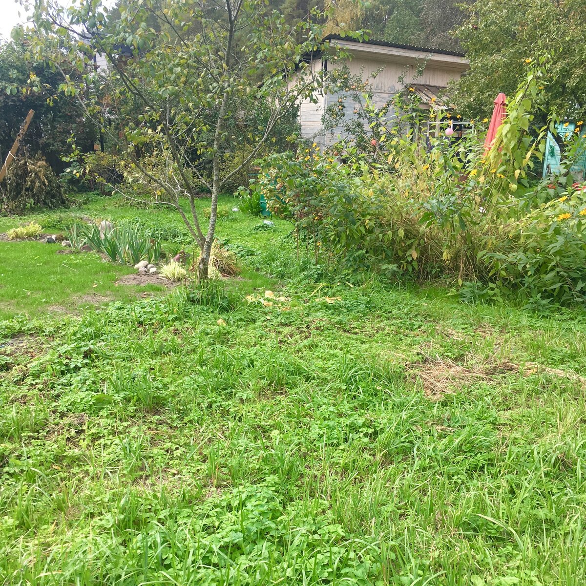 Копать будем здесь 