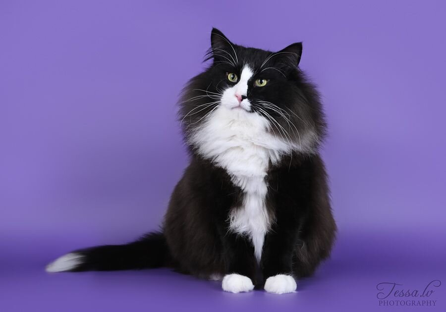 Фото из открытых источников.