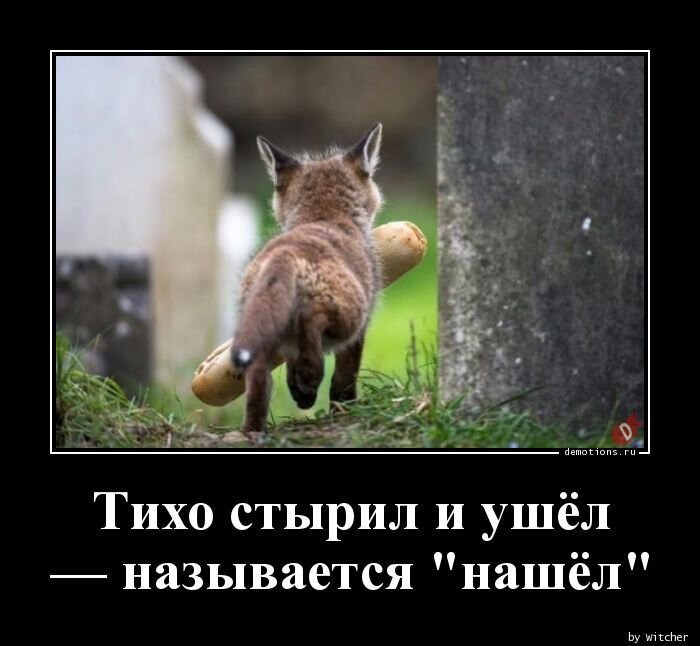 Фото из свободного доступа
