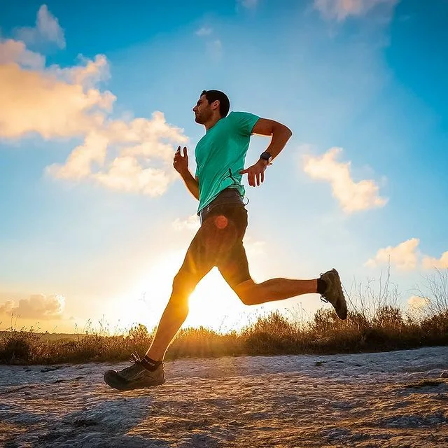 Фотография взята для иллюстрации