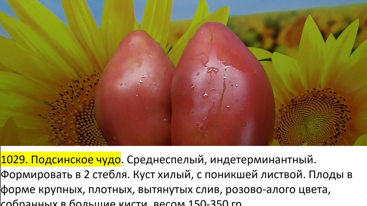 -173