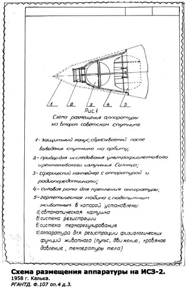 Лайка - Космонавт, Не Вернувшийся На Землю | Космический Корабль.