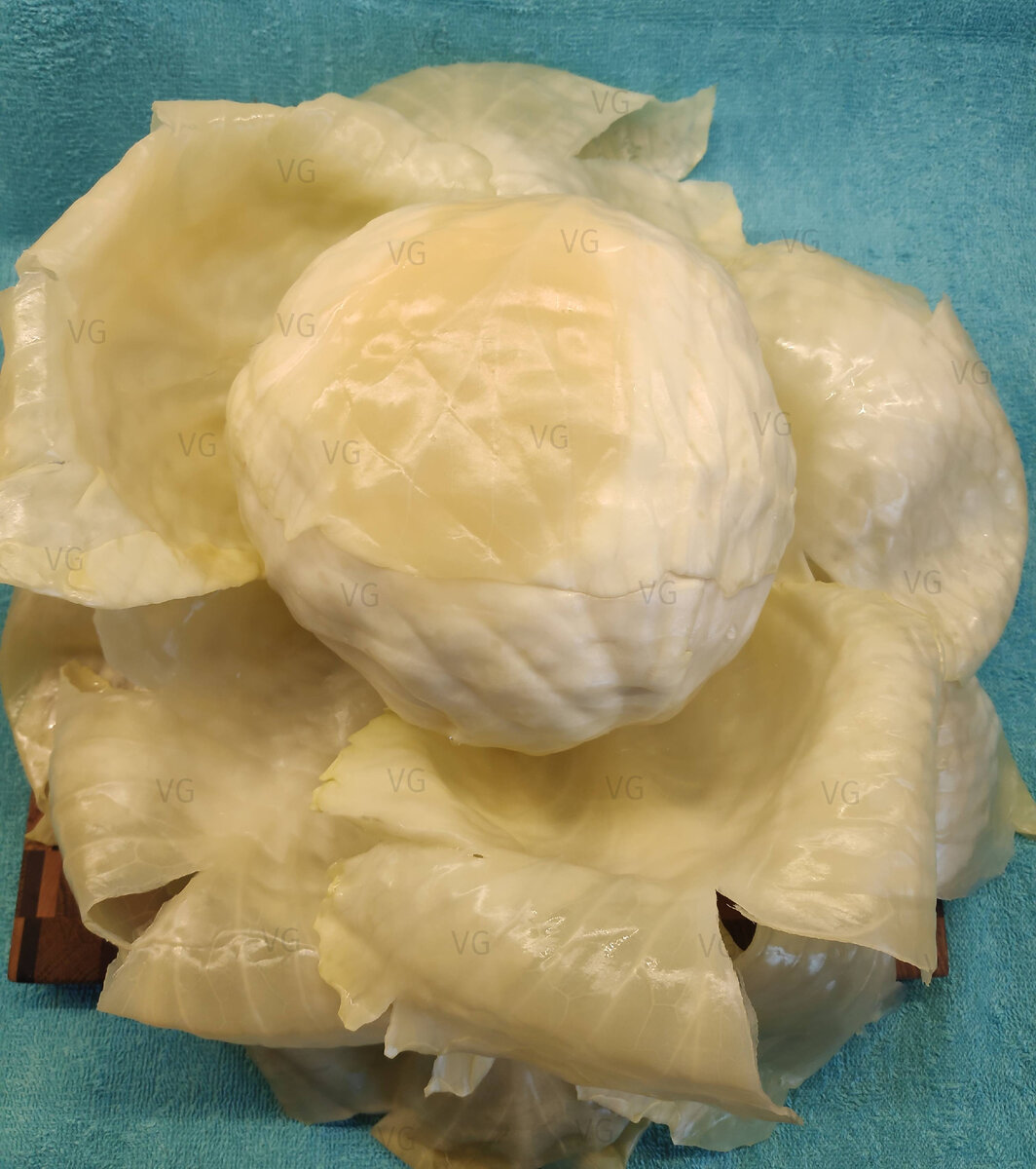 Прогревая капусту в СВЧ печи, стоит уложить её в глубокую емкость, чтобы не было прямого контакта с плоской поверхностью. "Переваренные" участки листьев легко рвутся. Листайте галерею, чтобы увидеть преображение кочана