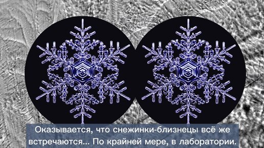 Проект бывают ли одинаковые снежинки 4 класс Проект какие бывают снежинки