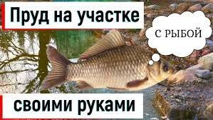 Личный водоем: как сделать пруд на загородном участке