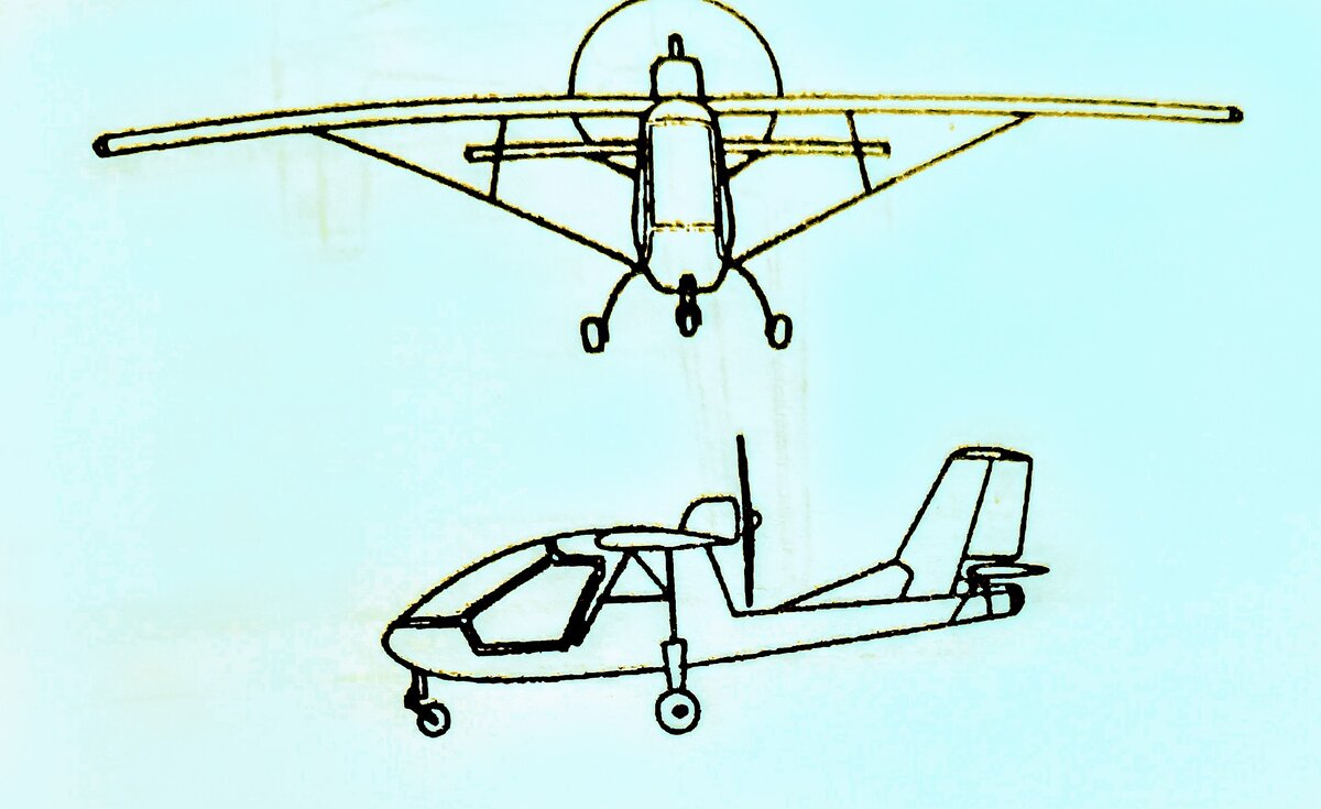 Шмель спереди и сбоку