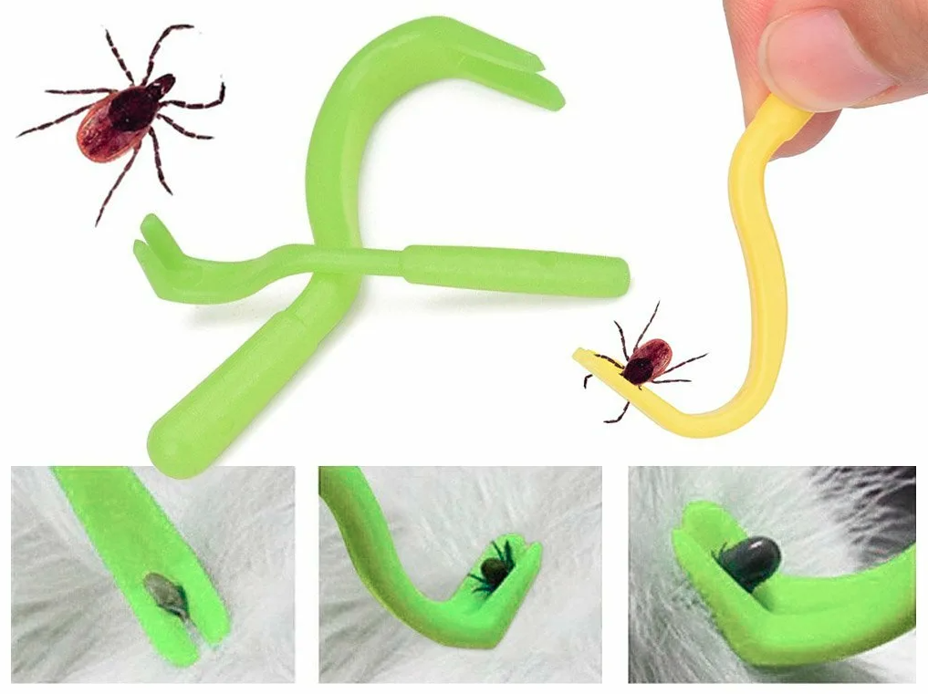 Нужно поддеть клеща у основания и выкрутить против часовой стрелки.