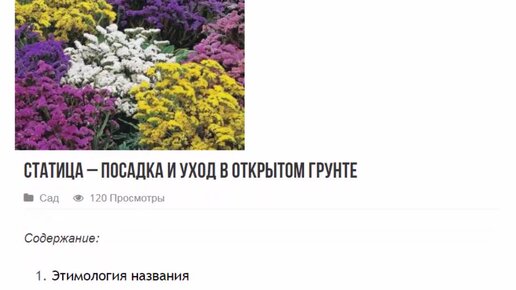 Уход за статицей