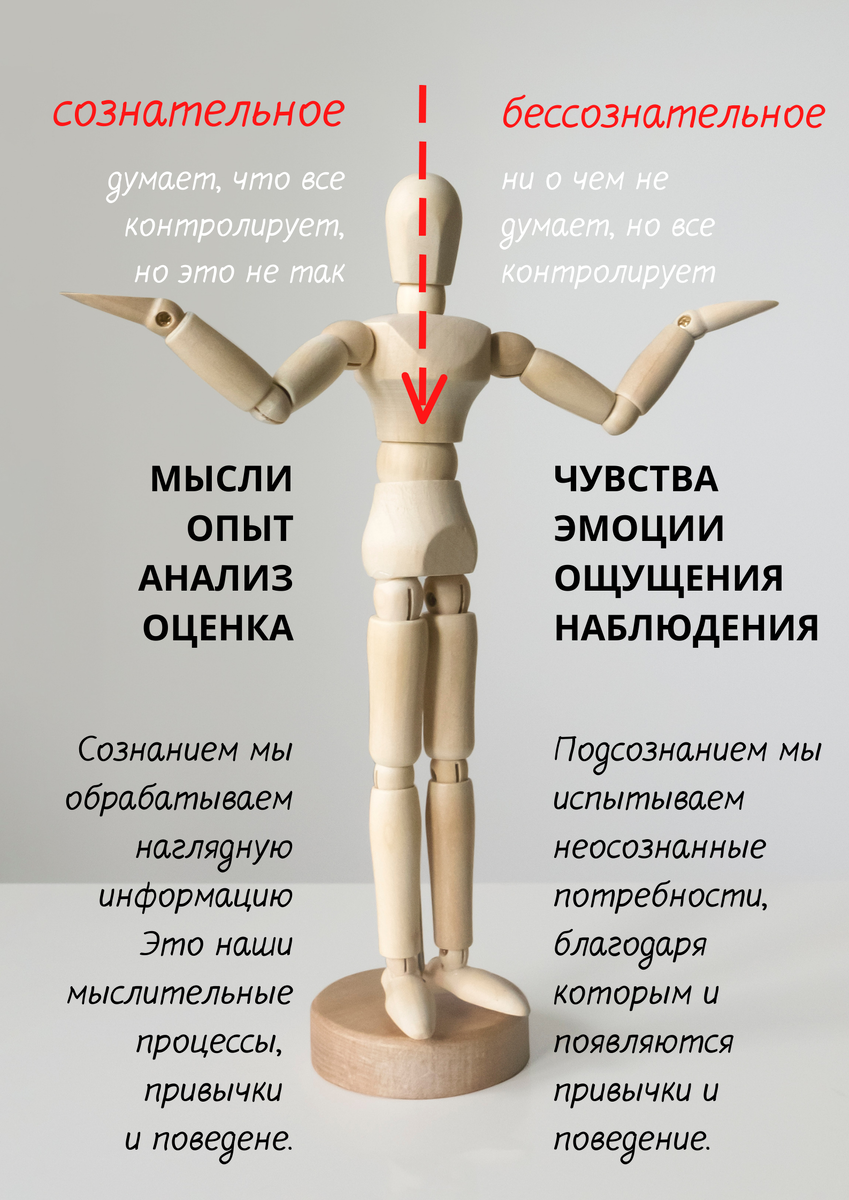 СОЗНАНИЕ и ПОДСОЗНАНИЕ человека.