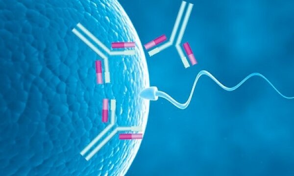 Спермограмма с MAR-тестом в СПб — цена на МАРТ тест в Эмбрилайф
