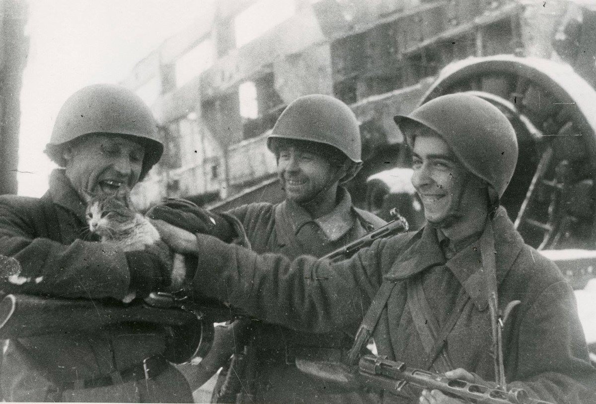 Рюмкин Яков Израилевич "В часы затишья солдаты играют с кошкой" (Сталинград, декабрь 1942 г., фотография)