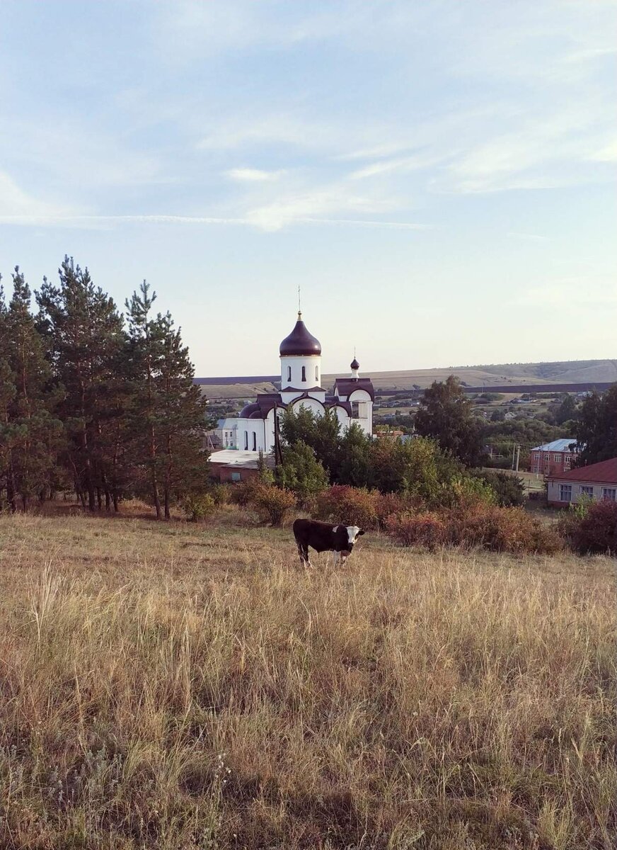 Вид на церковь Иоанна Богослова в с. Казанова, Саратовская область