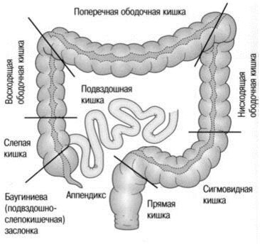 Хронический колит