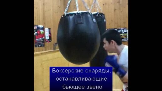 Особенности приспособления