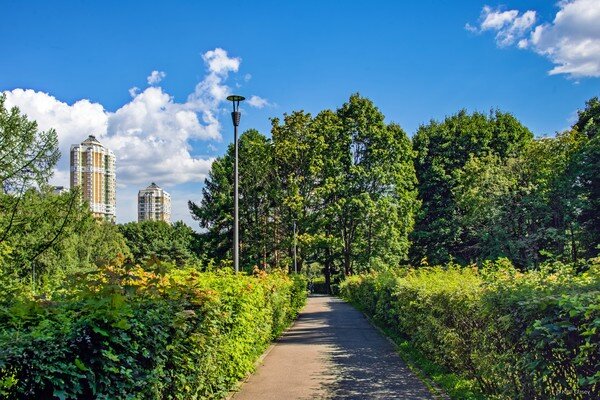 Парк 50 летия октября москва фото По дороге ... Просто обо всём .... Дзен