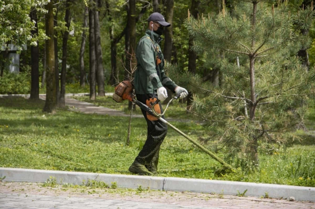    В Хабаровске убрали 20 свалок мусора