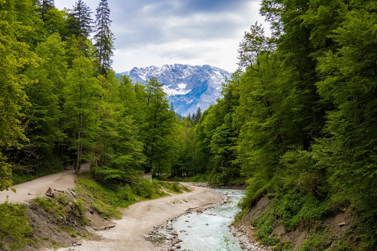 Фото с бесплатного фотоистока https://unsplash.com, автор Marco Xu