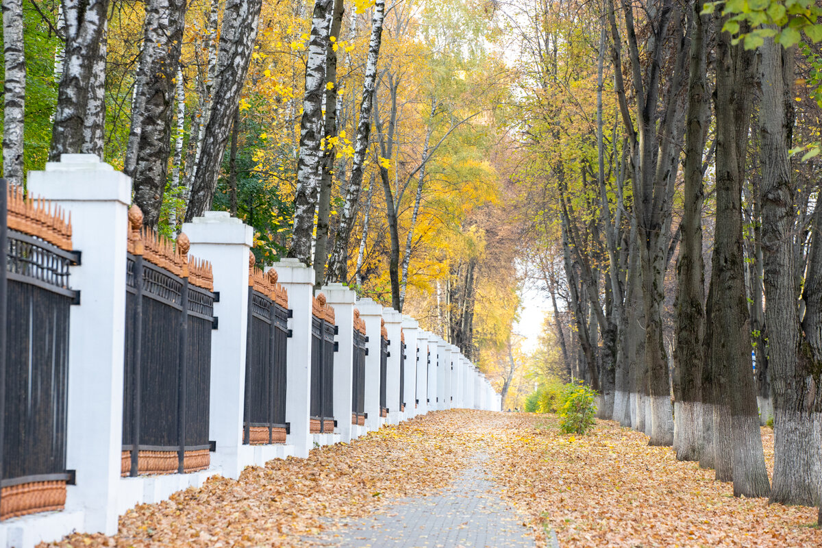 Фото: Тульская служба новостей 