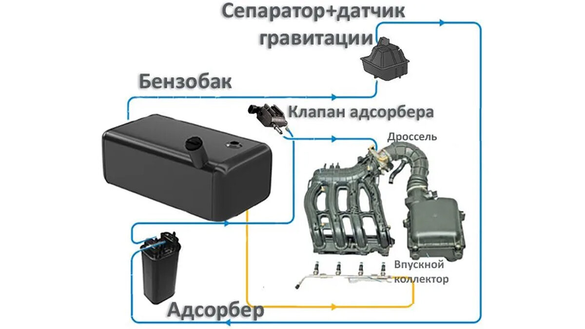 Система абсорбера. Схема адсорбера Приора. Абсорбер ВАЗ 2114 схема подключения шлангов. Адсорбер 2108. Адсорбер к4м 16 клапанный.