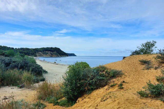   Фото: Калининград.Ru