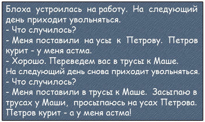 Того как устроилась. Того как устроилась. Успешная женщина. Анекдот про гинеколога. Анекдот про блоху и астму.