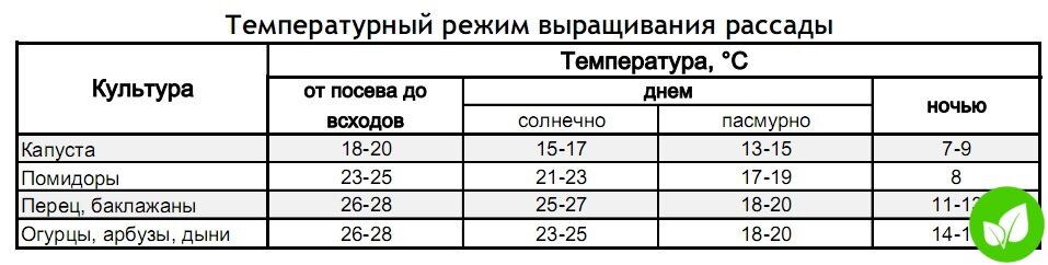 Температура перцев. Температурапочвы для высадки рассадв в грунт. Оптимальная температура для высадки рассады томатов. Какая температура должна быть в теплице для рассады. Температурный режим для рассады томатов и перца в теплице.