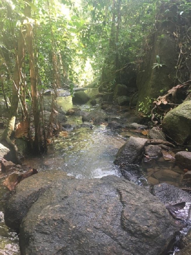 Водопад банг пэ. Водопад АО Йон. Водопад тон сай. Водопад Банг ПЭ на Пхукете.