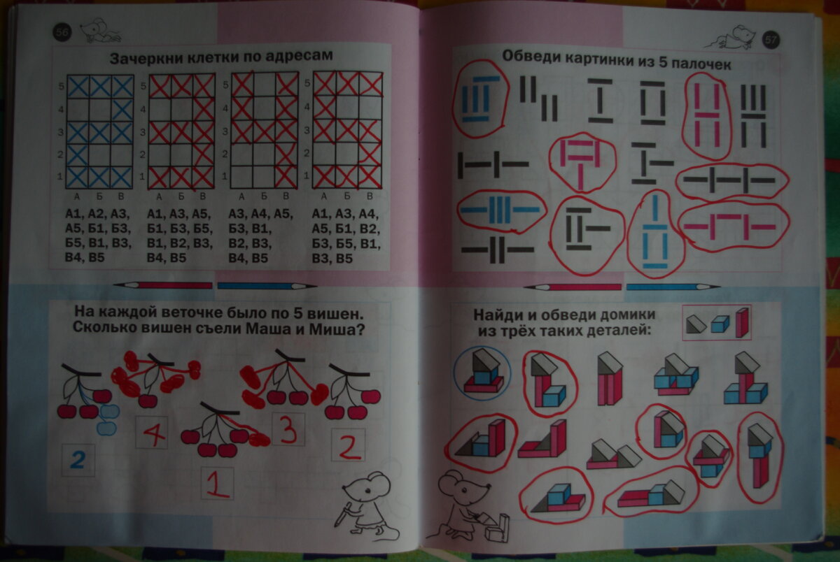 Необычная математика Жени Кац | Свобода365 | Дзен