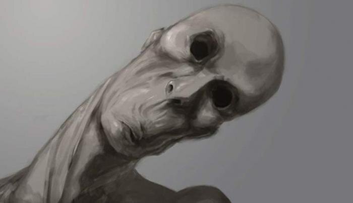 Гуманоид. Инопланетянин, НЛО. 