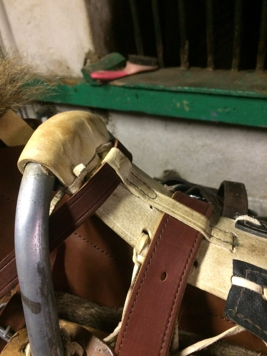 Так крепится нагрудник и передняя подпруга на живце седла у передней луки