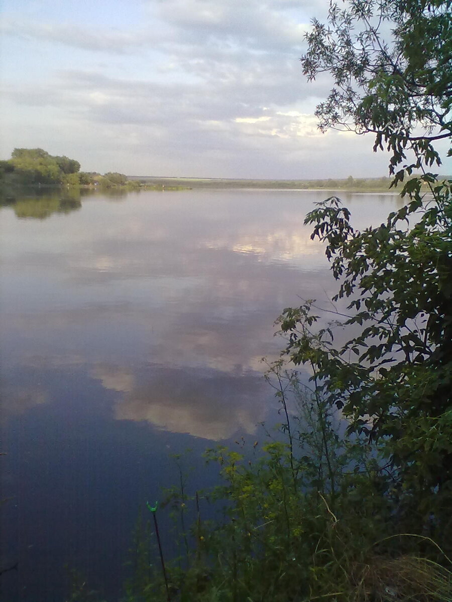 В 2000 году купили с женой участок в 7 км. от города Курска, на берегу большого пруда. Переехали с Крайнего Севера, г. Воркута. На севере прожили с рождения, я 32 года, жена 30 лет. На участке был старый дом, в нём и поселились. Провели газ, я сварил отопление. Пробил скважину. сделали ремонт внутри дома. В 2007 году встал вопрос о строительстве сарая. Начал строить, и за 2 года построил на месте старого сарая, прямо над погребом. Зарплата жены 20000 р. Моя зарплата 20000 р. Решили каждый месяц откладывать 10000 рублей на стройку. Строить решил сам. Первым делом купил бетономешалку, потом 2 камаза песка, потом 2 камаза щебёнки. И началось. 