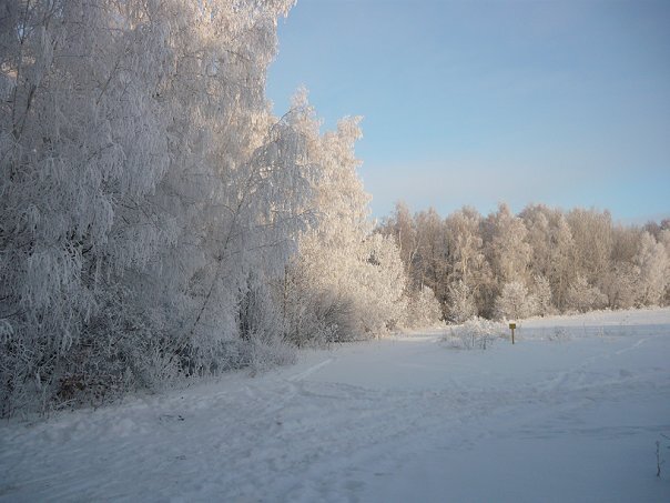 фото из личного архива