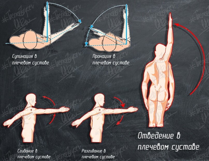 Упражнения на пронацию