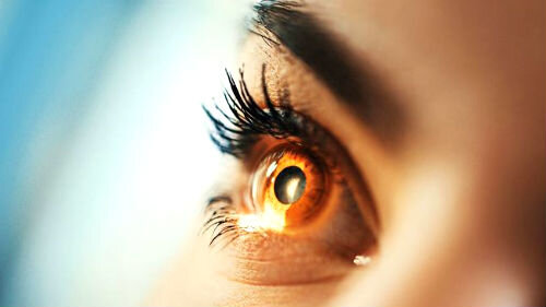 Реакция радужки глаза на яркий свет