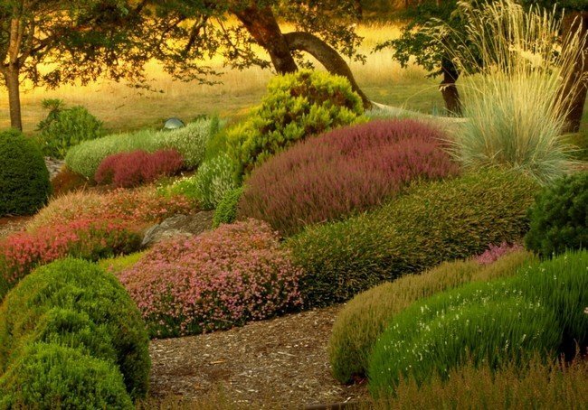 Всем привет! Сегодня мы расскажем, какие натуральные продукты питания и травы для памяти можно применять в домашних условиях.-2