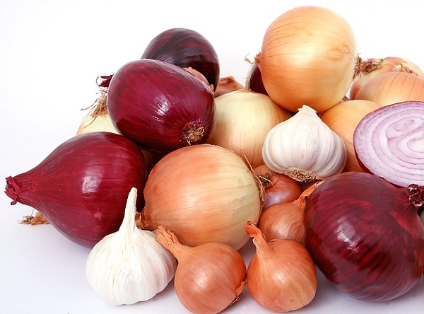 фото: https://pixabay.com