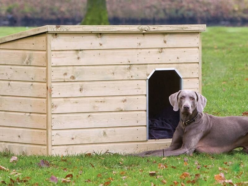 Источник фото: https://bepuppyblog-4fef.kxcdn.com/wp-content/uploads/2017/04/cuccia-cani1.jpg