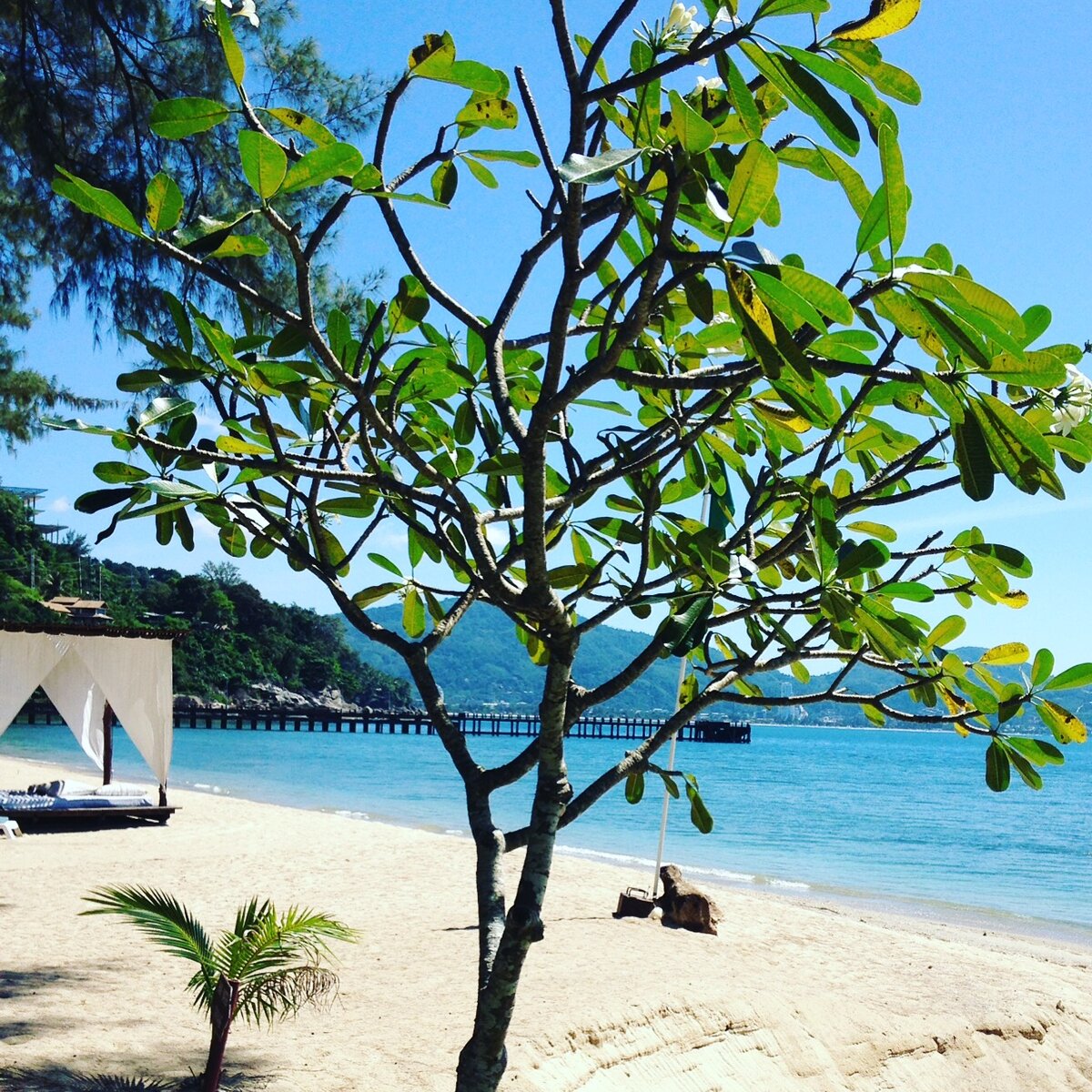 Пляж отеля Thavorn Beach Village Resort & Spa Phuket