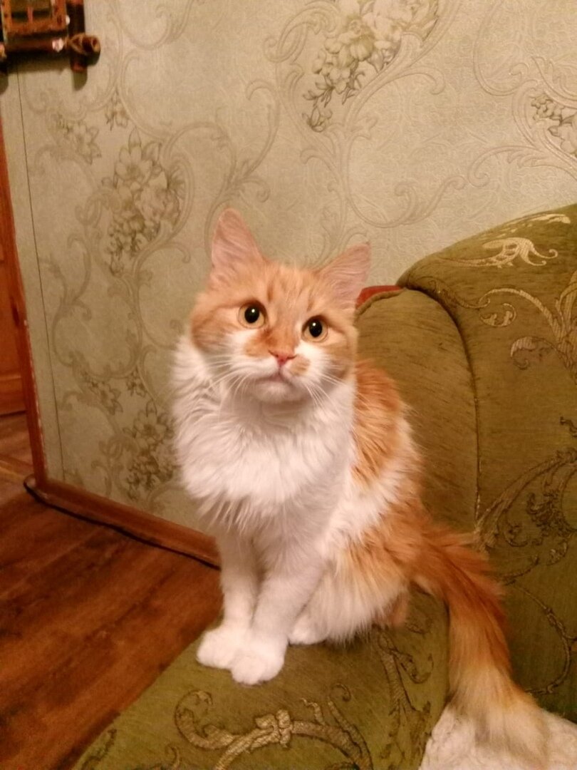 Конечно же, сидя на диване)