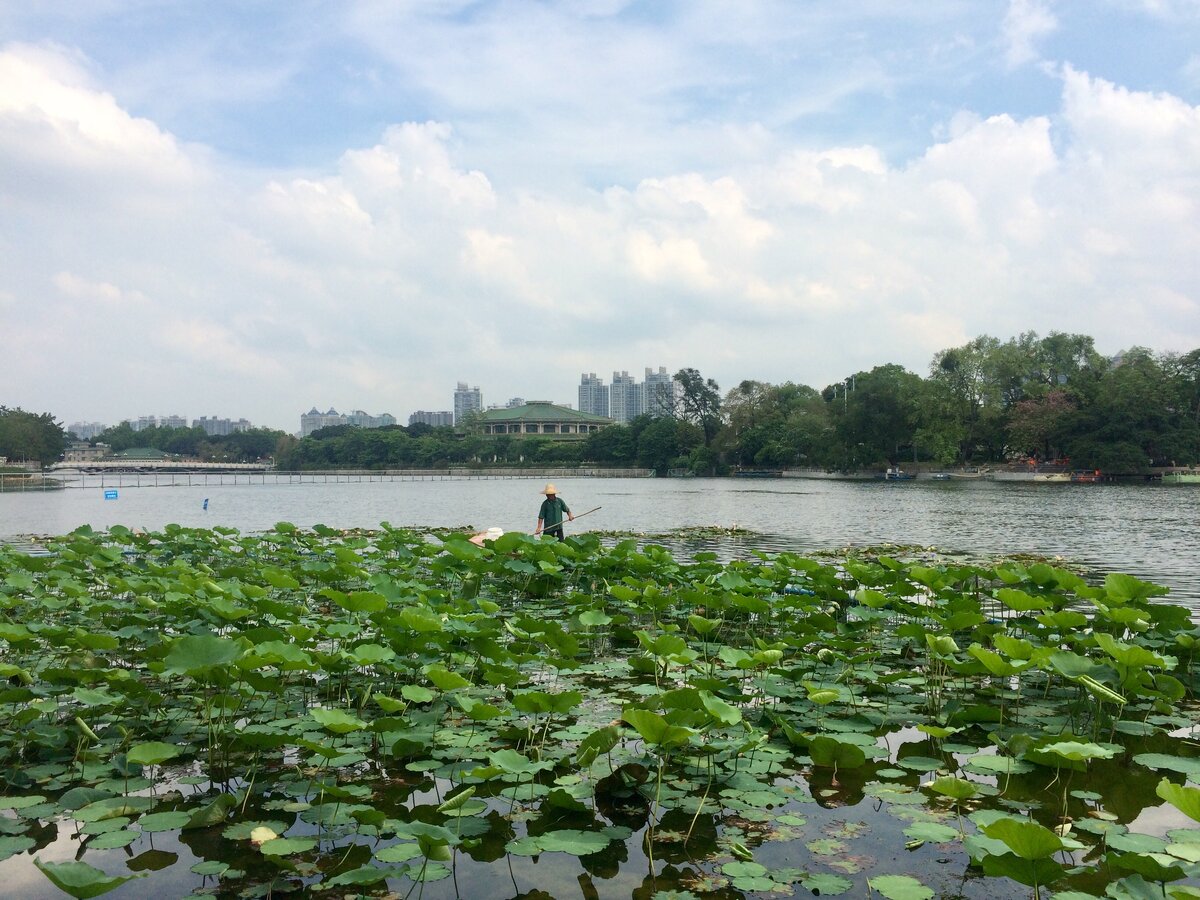 Парк Гуанчжоу