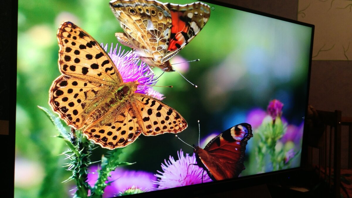 Монитор BenQ GW2406Z