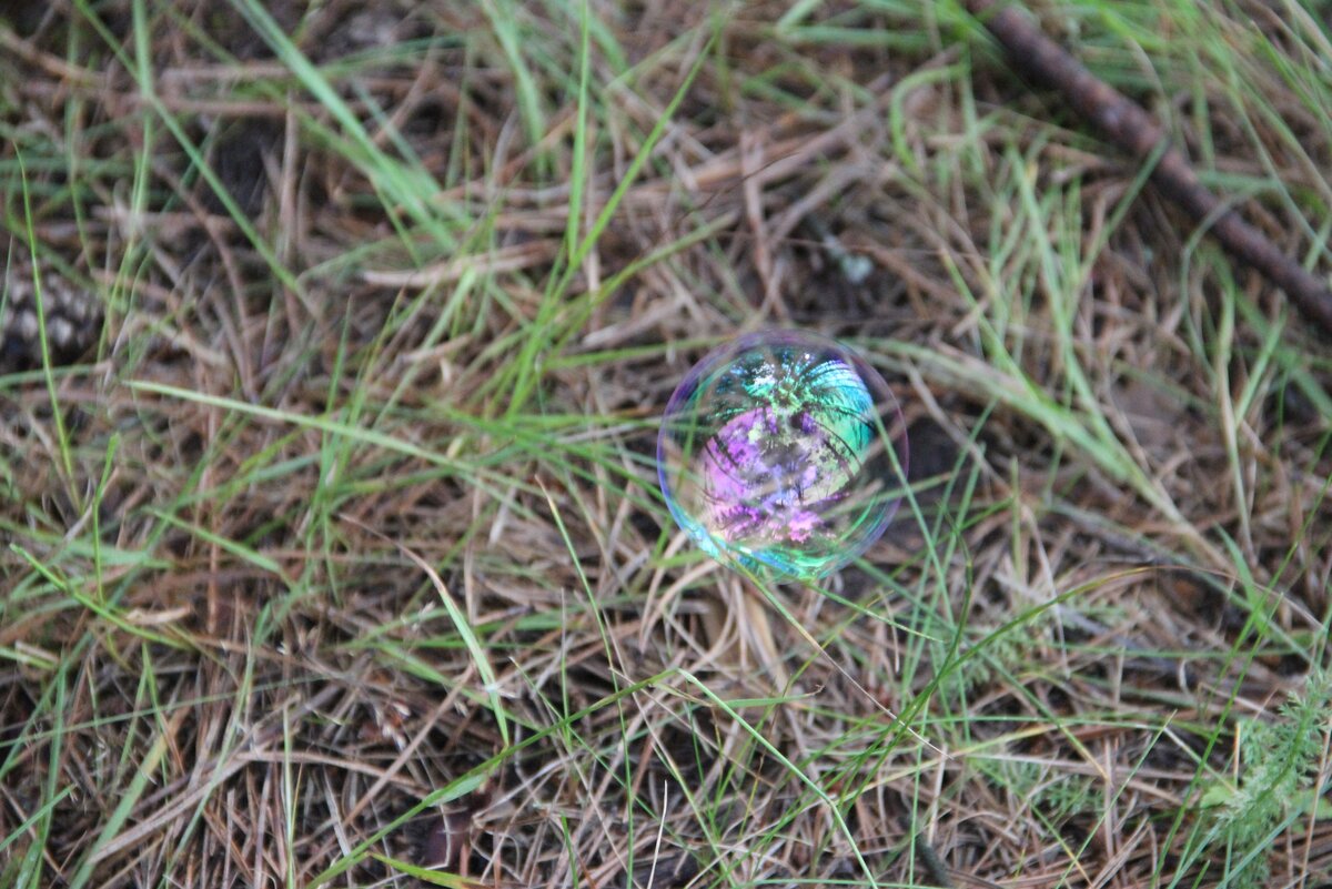 Мыльные пузыри бывают удивительными