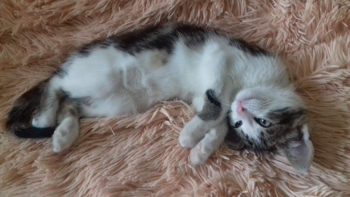 Я милый мальчик... И обычно веду себя хорошо... ))) (Не Яша, но похож!)