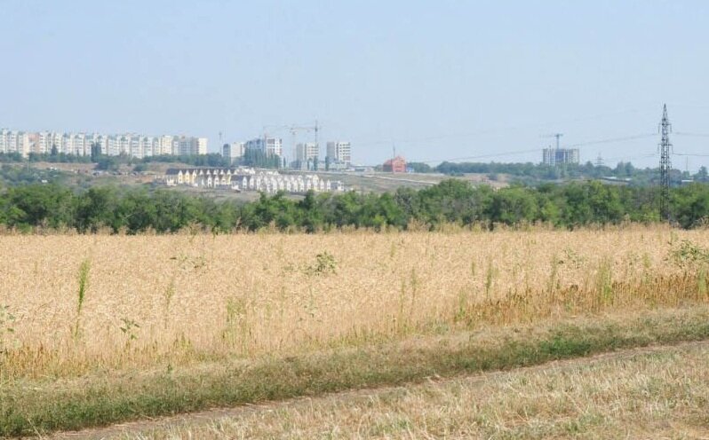 Почвы саратовской. Поля Юго Востока Саратов. Земли НИИ Юго-Востока Саратов. НИИ Юго Восток поля. Поля НИИ Саратов
