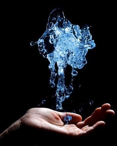 Фото из свободного доступа сети интернет