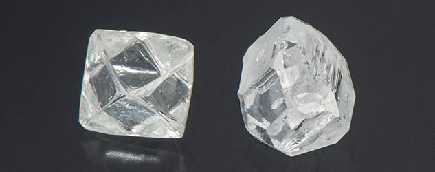 scale_2400