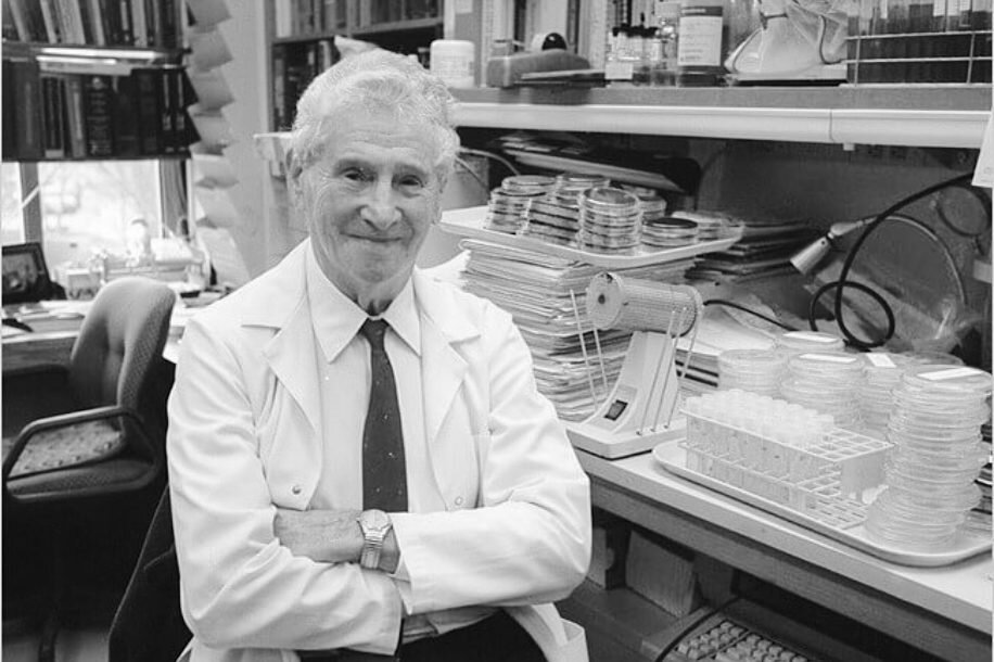 Профессора Альберт М. Клигман